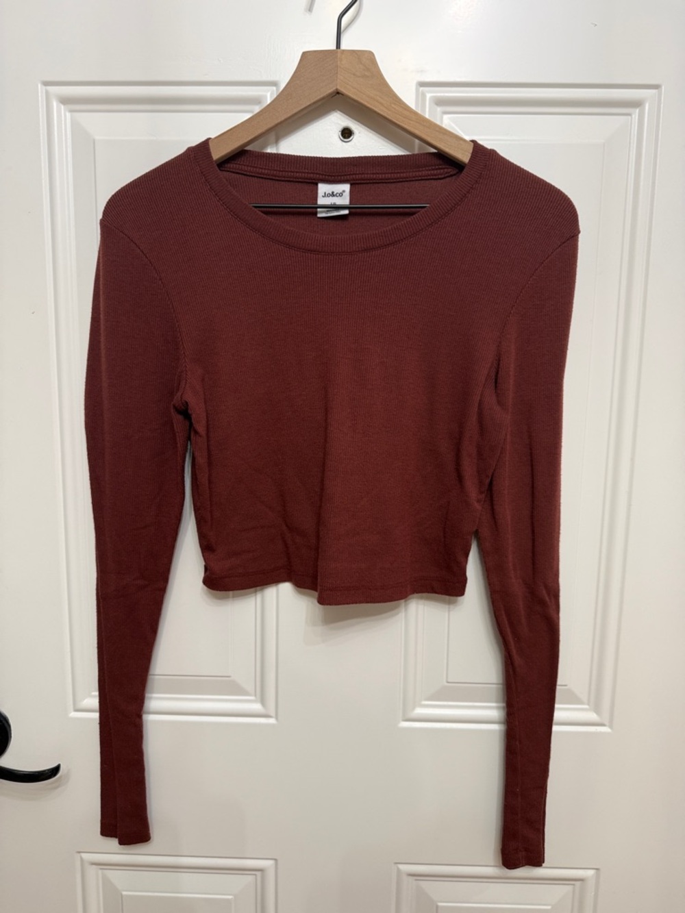 Long Sleeve Ribbed Crop Top in Brick Red